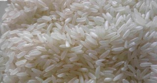Китайски учени създават нов сорт супер ориз