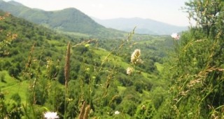Националният ден на Природните паркове в България ще бъде отбелязан на 08 юни