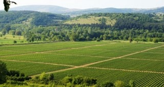 Брюксел санкционира страната ни заради нередности при изплащането на директните субсидии на площ за земеделие