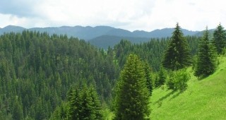 Информационни семинари по горските мерки се проведоха в Чипровци и Криводол