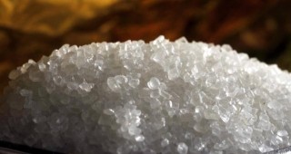 През изминалия месец пазарът на бялата кристална захар в страната е спокоен