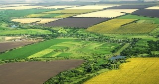 Какво определя цената на земеделската земя у нас