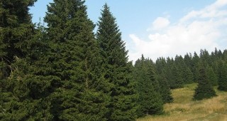 Заключителен информационен семинар по горските мерки от ПРСР се проведе в Боровец