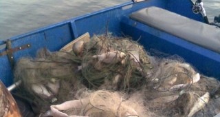 Хванат е бракониер, извършващ незаконен риболов на река Марица