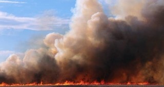Двама души са загинали в бушуващите горски пожари в американския щат Колорадо