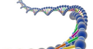 Върховният съд в САЩ забрани патентоването на човешки гени