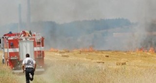 10 декара с ечемик са унищожени при пожар в землището на сливенското село Бинкос
