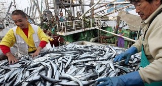 Нови европравила ще променят риболовните стандарти в Китай