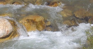 Мандра Пършевица замърсява врачанска река