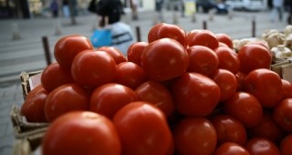 Българското производство на плодове и зеленчуци не е конкурентоспособно