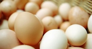 Средно месечните цени на яйца за консумация в България през май са били в размер на 103,72 евро/100 кг