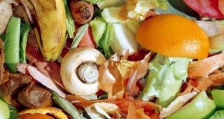 Биологичните отпадъци са около 30% от общата смет в София