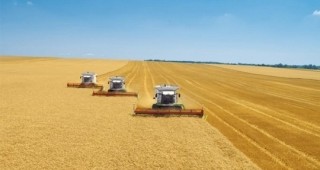 НАЗ: Увеличават се проблемите пред родния зърнопроизводител