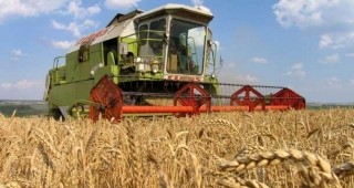Зърнопроизводителите настояват субсидиите им за площ да бъдат изплатени през есента на настоящата стопанска година