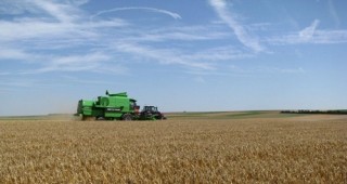 Евтината пшеница и свиването на печалбите на фермерите ще забави пазара на земеделска земя