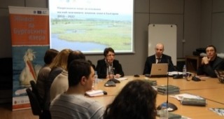 Одобрена е актуализацията на плана за опазване на най-значимите влажни зони на България