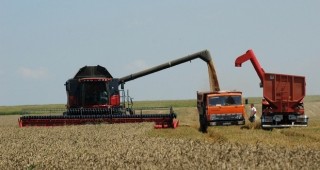 Жътвата на пшеница в Бургаско приключи