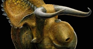 Учени пресъздадоха как е изглеждал необичаен нов вид динозавър