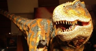 Учени: Динозаврите са били топлокръвни животни