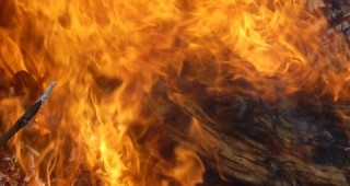 При пожар в местността Боровец Юг - Кантара край Варна са изгорели 250 дка треви и лозя