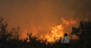 Над 100 хектара гори унищожи пожар в Турция