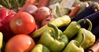 Между 95 и 100% от различните видове плодове и зеленчуци, които се отглеждат у нас, са от вносни семена