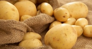 Полицаи от Ихтиман разкриха кражба на около 1 тон картофи