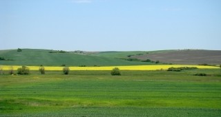 Сто милиона тона плодородна почва губи България ежегодно