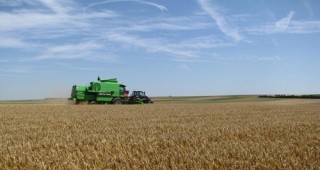 Интереси и организации на прекупвачи влияят на цената на зърното в България
