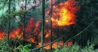Хиляди огнеборци се опитват да овладеят пожарите в Калифорния