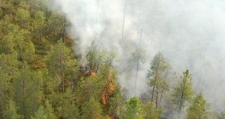 Край кърджалийското село Мъдрец горят 300 декара сухи треви и част от горски масив
