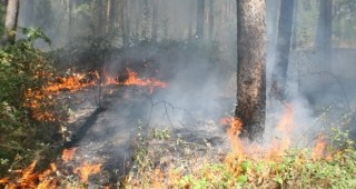 Локализиран е пожарът в Хасковско