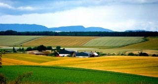 Чрез закон да се определи горна граница на собственост на земеделската земя предлагат от НСЗКБ