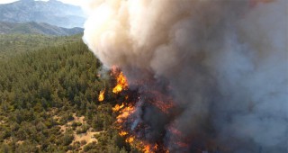 Евакуираха над 2 200 жители на американския щат Айдахо заради горски пожар