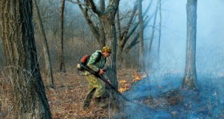 Локализиран е пожарът, възникнал в района на местността Зайчова поляна