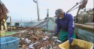 Отново спират риболова край бреговете на Фукушима