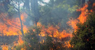 Продължава да се разраства пожарът между свиленградските села Студена и Равна гора