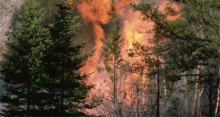 Удължен е пожароопасният сезон в горите в област Смолян
