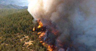 Над 700 горски служители са участвали в гасенето на пожарите през последните дни