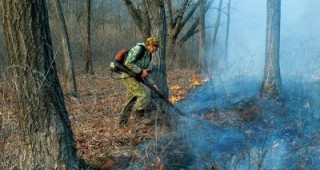 Мобилизирани са екипи от горски служители за пожарите край Свиленград и Лесово