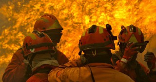 Горските пожари в Португалия се разразиха с нова сила