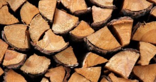 20 куб. метра дърва за огрев конфискуваха горски инспектори от РДГ - Бургас
