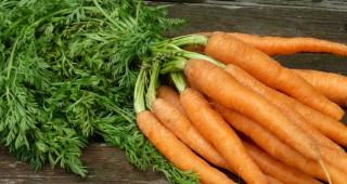 Морковът е сред зеленчуците с най-разнообразни приложения