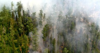 Загубите от горските пожари у нас са по-малко от миналата година с 30-40%