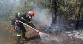 193-ма доброволци участват в гасенето на пожари в Пловдивска област