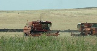 В Шуменска област продължава кампанията за уедряване на земеделски масиви