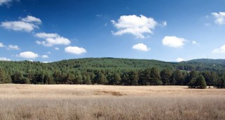 Ако чужди инвеститори могат да купуват обработваема земя в България, цената й ще се повиши