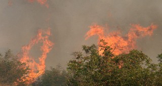 В Пазарджишка област се увеличават пожарите