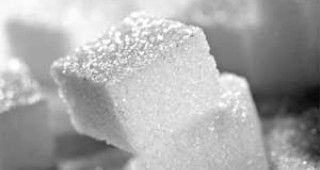 Леко понижение в цените на едро на бялата кристална захар
