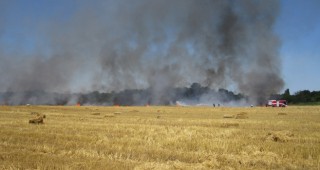 Пожар е избухнал в района на варненското село Приселци